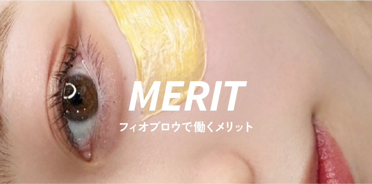 meritttl